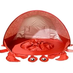 Beach Crab Sand Pool