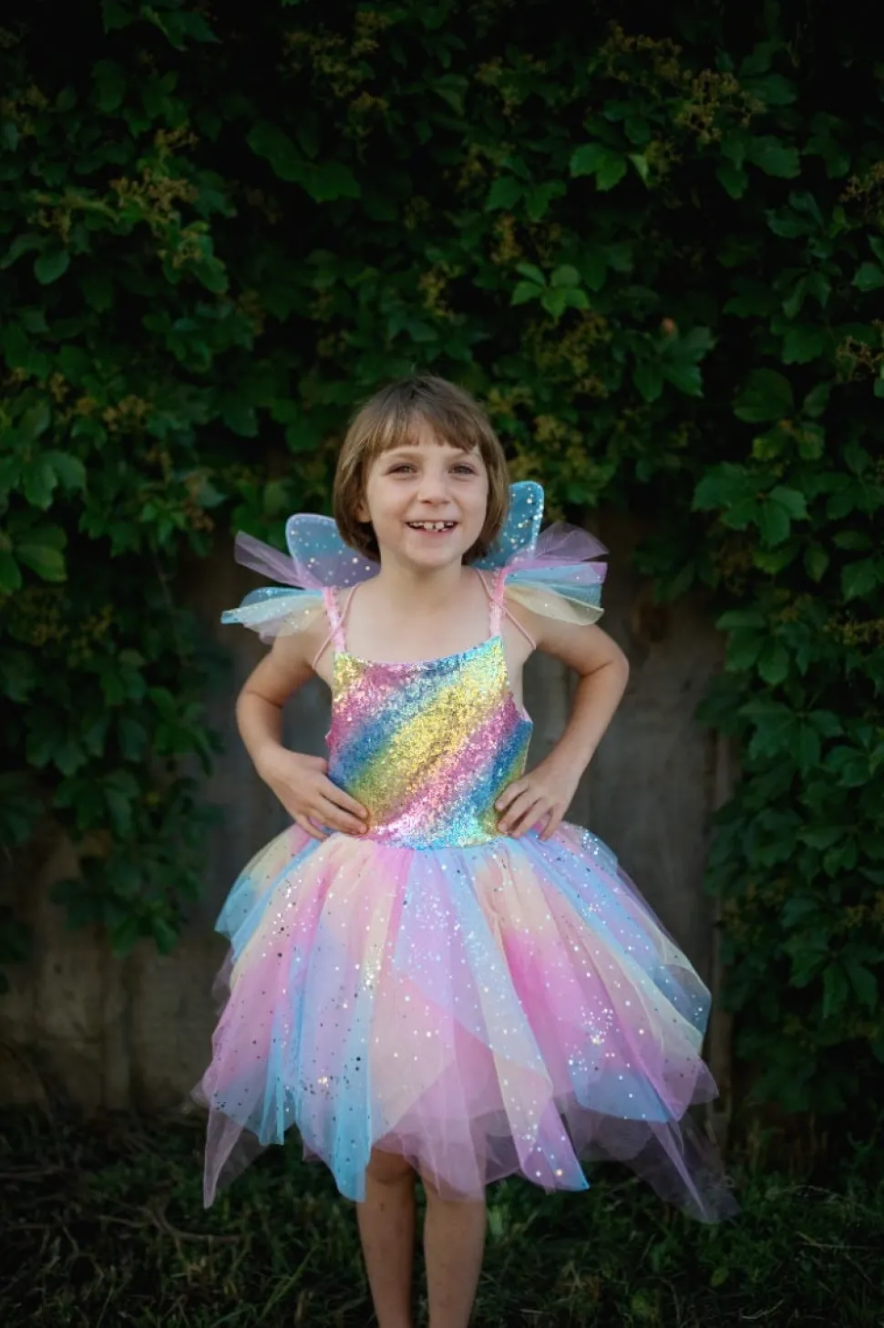 Fairy Dress And Wings Rainbow (3-4 years)