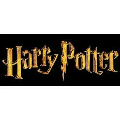 Harry Potter Deluxe School Robe Medium