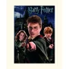 Harry Potter (Harry, Ron & Hermione) 30X40Cm Mounted Print