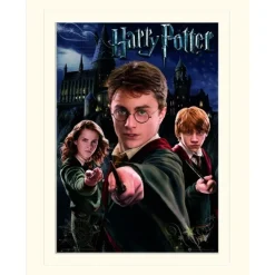 Harry Potter (Harry, Ron & Hermione) 30X40Cm Mounted Print