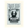 Harry Potter Sirius Wanted Loose Mounted Print