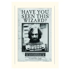 Harry Potter Sirius Wanted Loose Mounted Print
