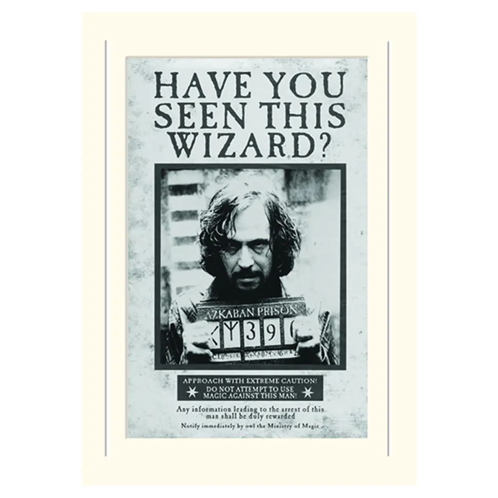 Harry Potter Sirius Wanted Loose Mounted Print