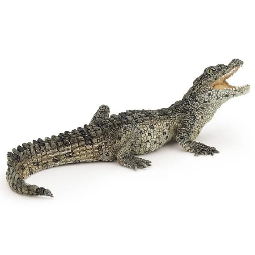 Papo Baby Crocodile