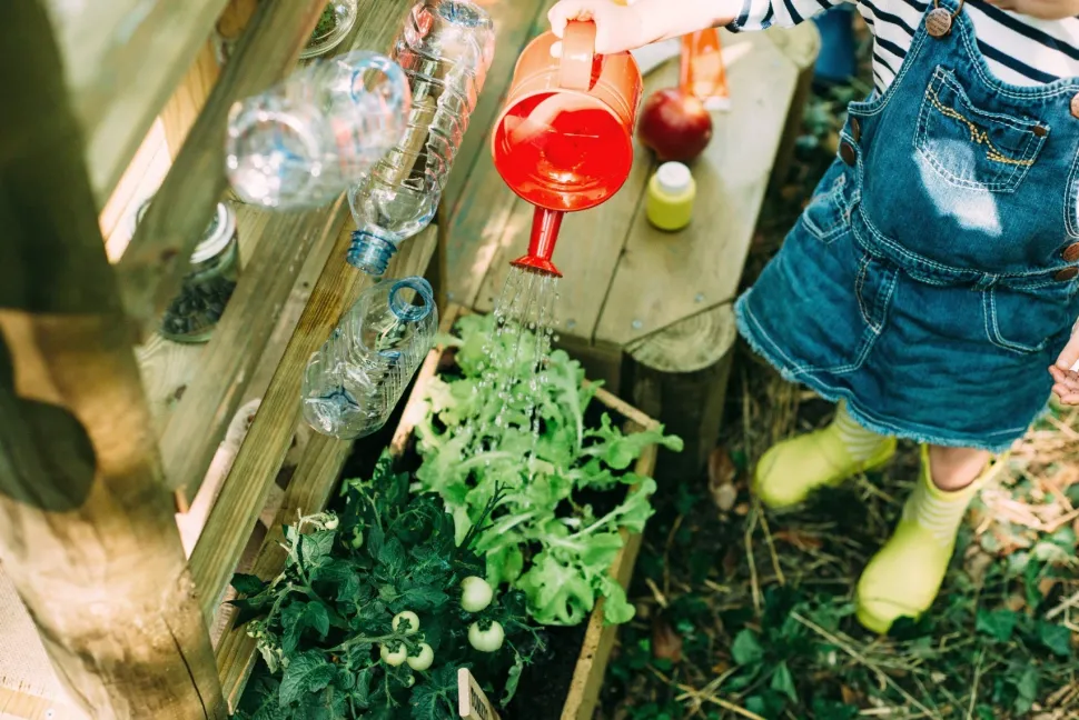 Plum Discovery Mud Pie Kitchen