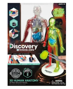 Toy Anatomy Human Kit Glow In the Dark 28Pc